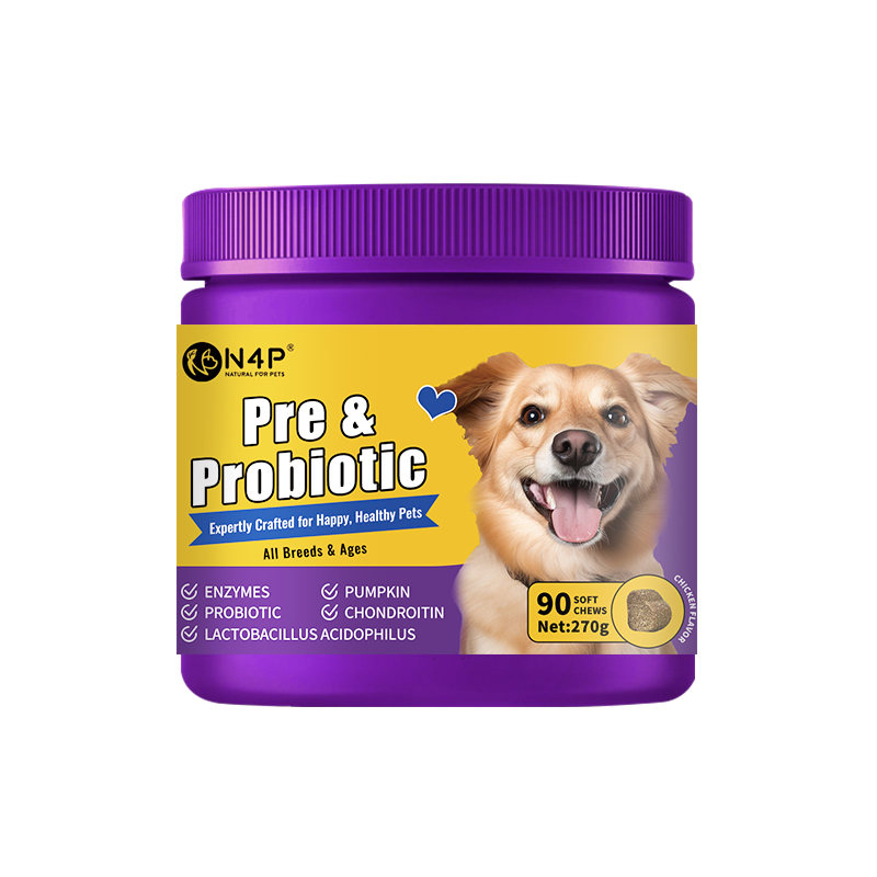مکمل و تشویقی پروبیوتیک و پریبیوتیک ان فور پی N4P Pre & Probiotics بسته 90 عددی